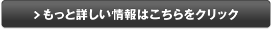 ハイアール・オフィシャル・ストア販売サイトへ